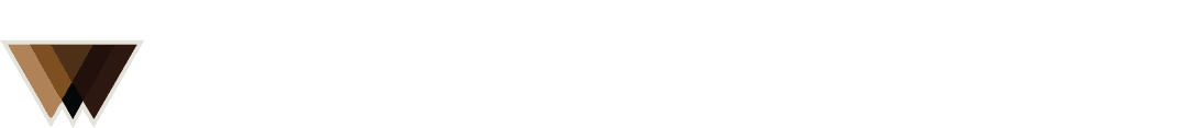 Partner 1